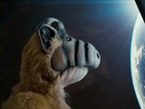 DIRECTV - Alf